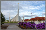 Boise Temple - Purple Flowers by Robert A Boyd