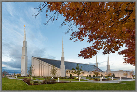 Boise Temple - Fall Trees by Robert A Boyd