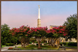 Dallas Temple - Flowering Trees by Robert A Boyd