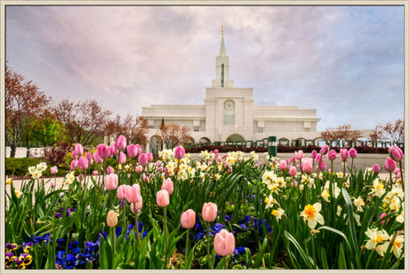 Bountiful Temple - Pink and Yellow Tulips by Robert A Boyd