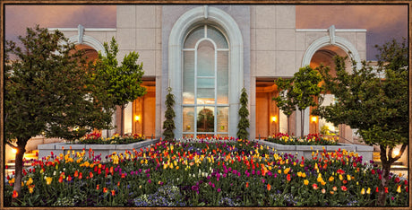 Mt Timpanogos Temple - Blooming Spring by Robert A Boyd