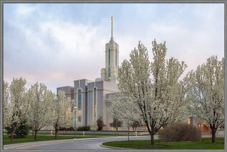 Mt Timpanogos Temple - Spring Blossoms by Robert A Boyd