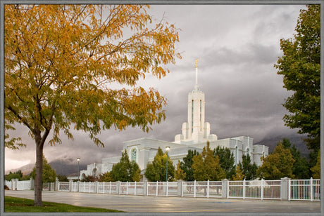 Mt Timpanogos Temple - Fall Yellow Trees by Robert A Boyd