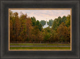 Palmyra Temple - Through the Trees by Robert A Boyd