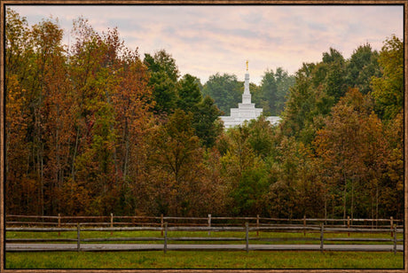 Palmyra Temple - Through the Trees by Robert A Boyd