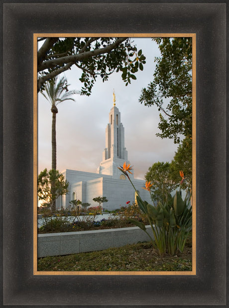 Redlands Temple - Flower by Robert A Boyd