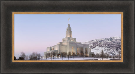 Draper Temple - Winter Sky by Robert A Boyd