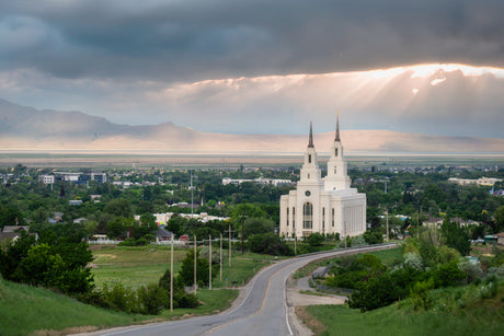 Layton Temple - A Royal View - 8x12 giclee paper print