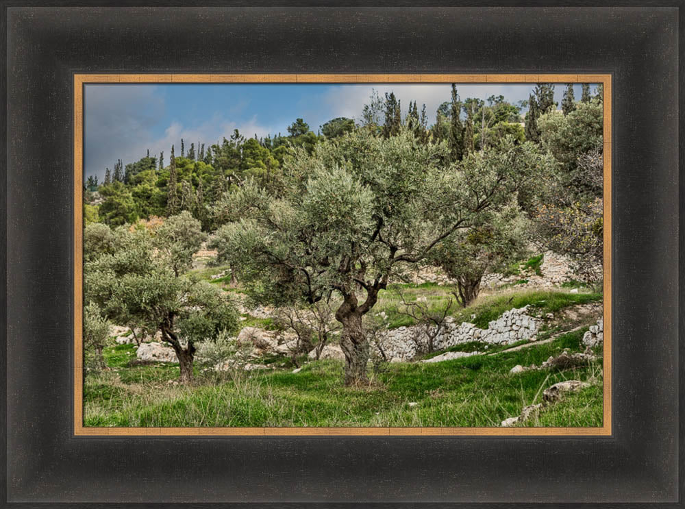 Mount of Olives by Robert A Boyd