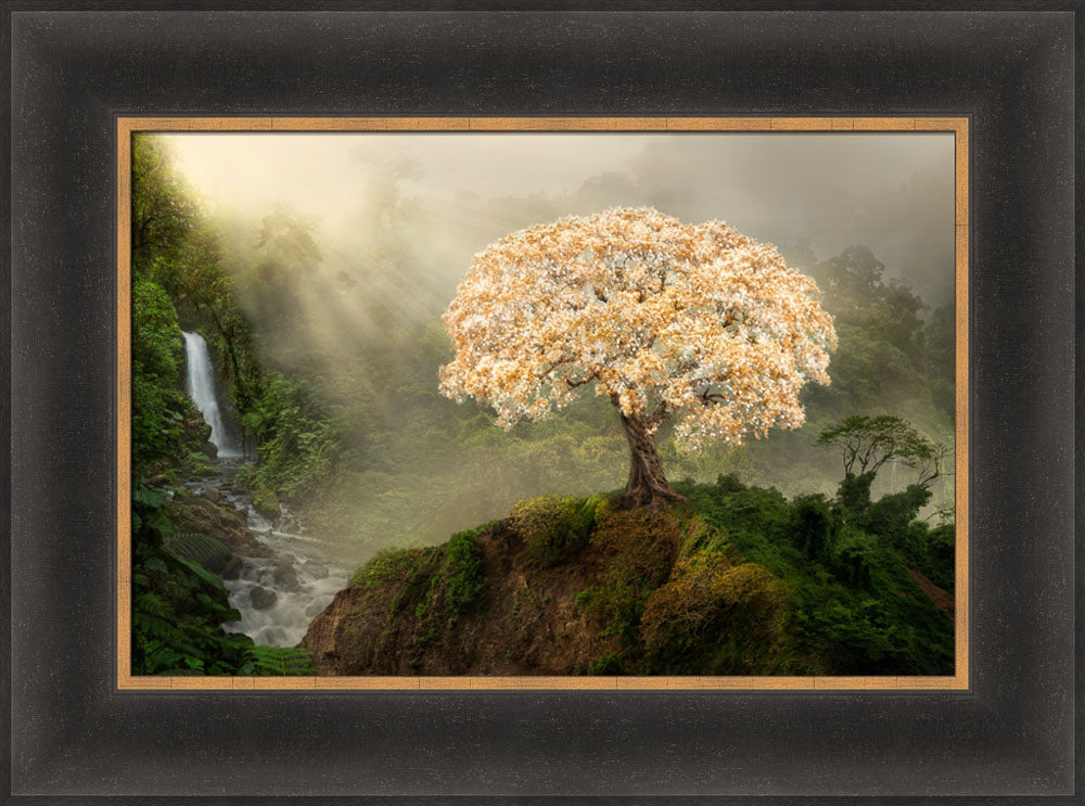 Tree of Life - Altus Fine Art - 16