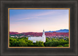 St George Temple - Above the Trees by Scott Jarvie