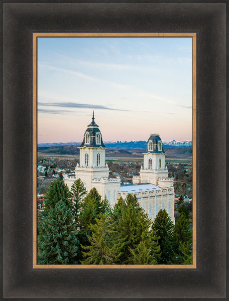 Manti Temple - Above the Trees by Scott Jarvie