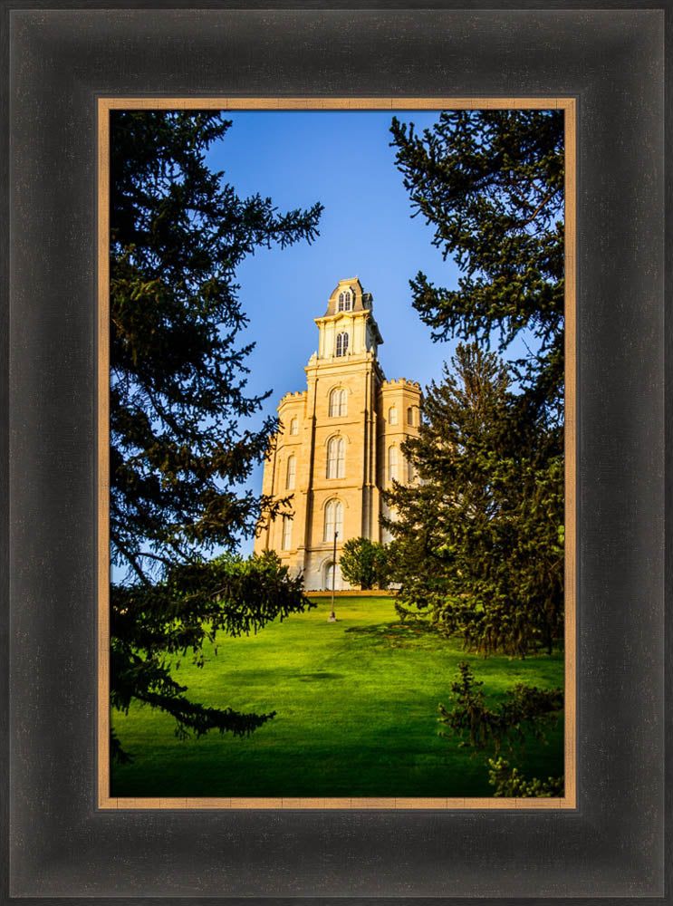 Manti Temple - Through the Trees by Scott Jarvie