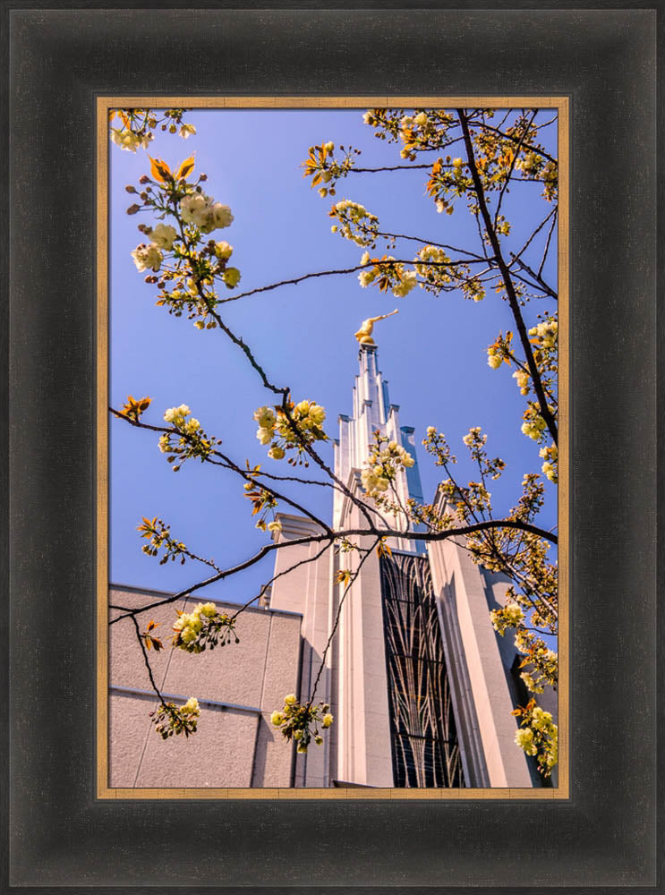 Tokyo Temple - Through the Trees by Scott Jarvie