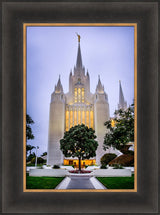 San Diego Temple - Tree by Scott Jarvie