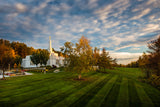 Palmyra Temple - From on High - 8x12 giclee paper print