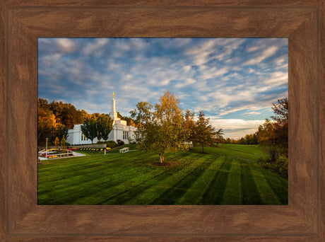 Palmyra Temple - From on High - framed giclee canvas