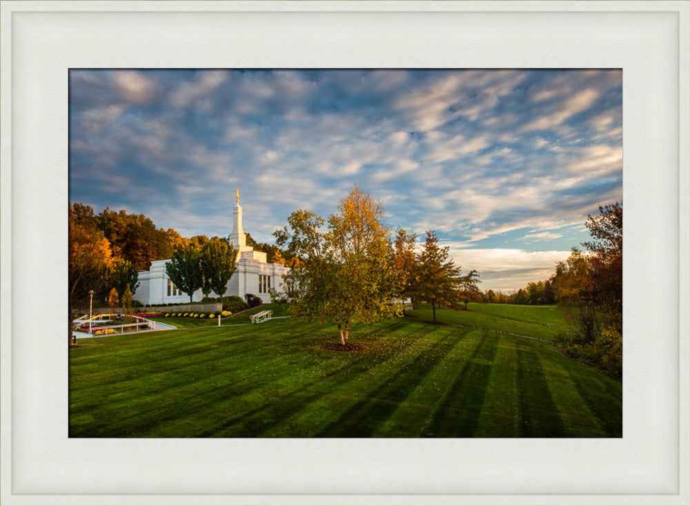 Palmyra Temple - From on High - framed giclee canvas