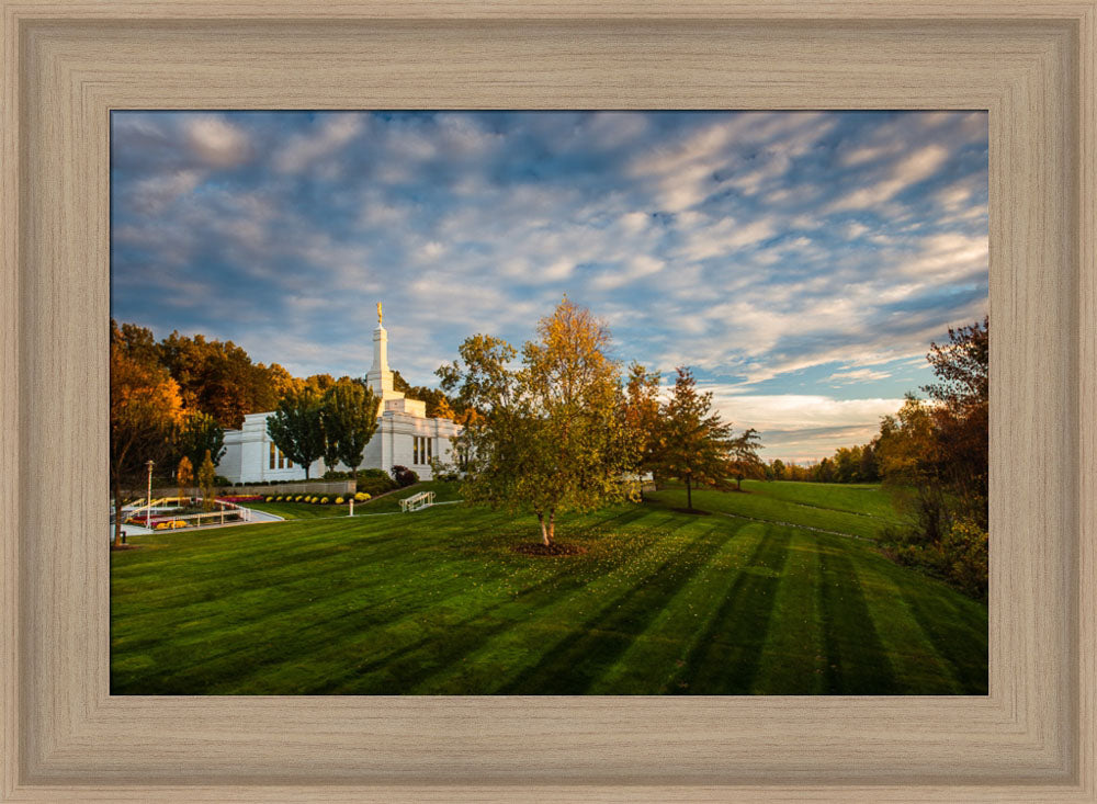 Palmyra Temple - From on High - framed giclee canvas