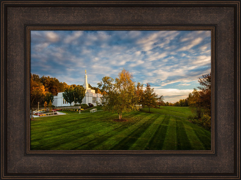 Palmyra Temple - From on High - framed giclee canvas