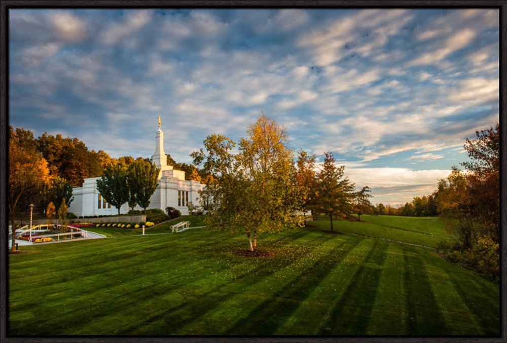 Palmyra Temple - From on High - framed giclee canvas