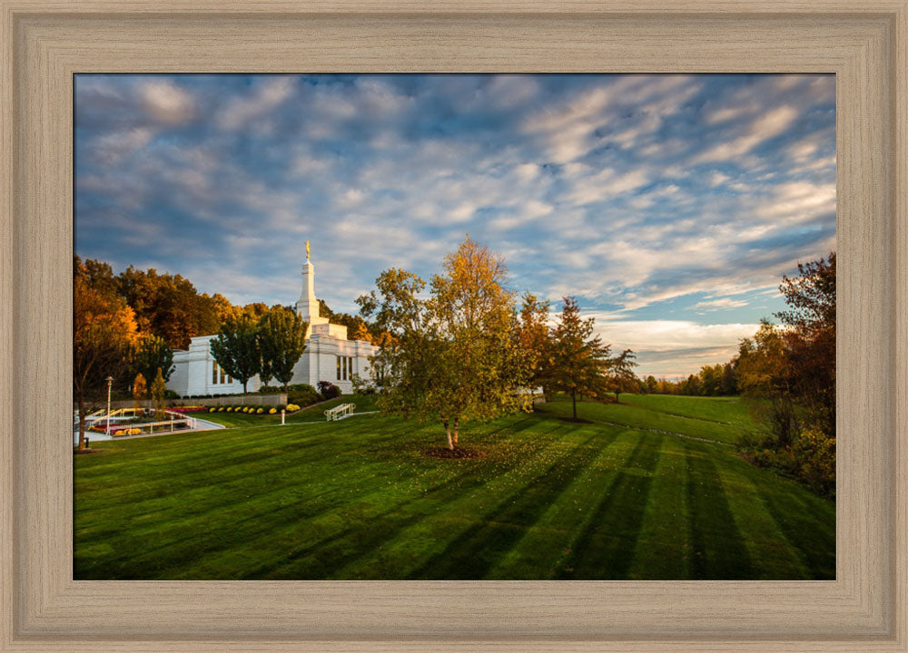 Palmyra Temple - From on High - framed giclee canvas