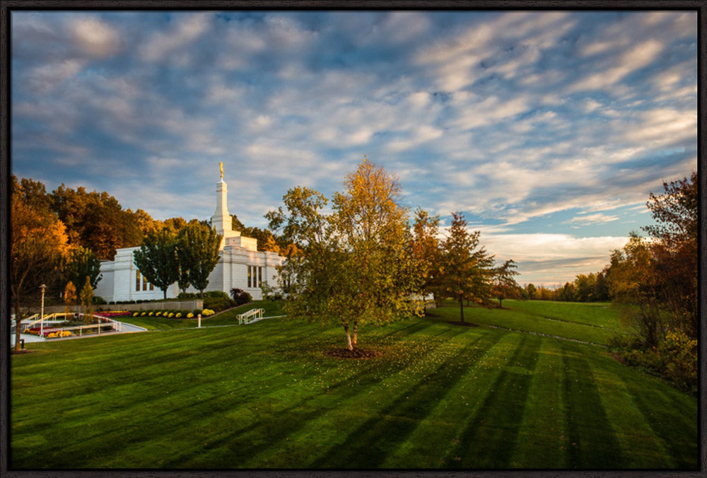 Palmyra Temple - From on High - framed giclee canvas