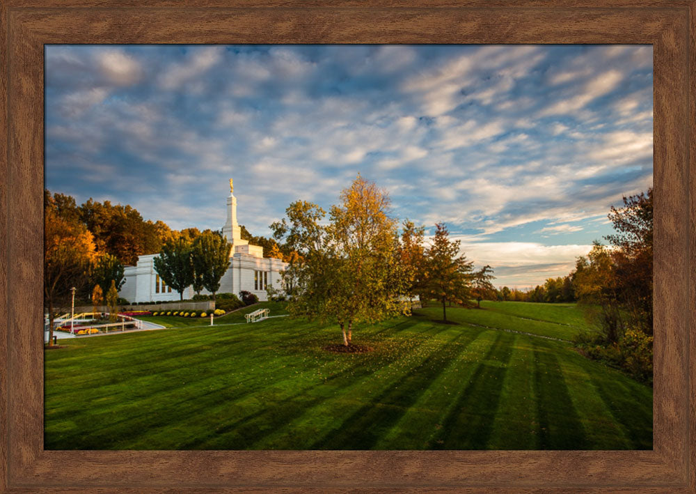 Palmyra Temple - From on High - framed giclee canvas