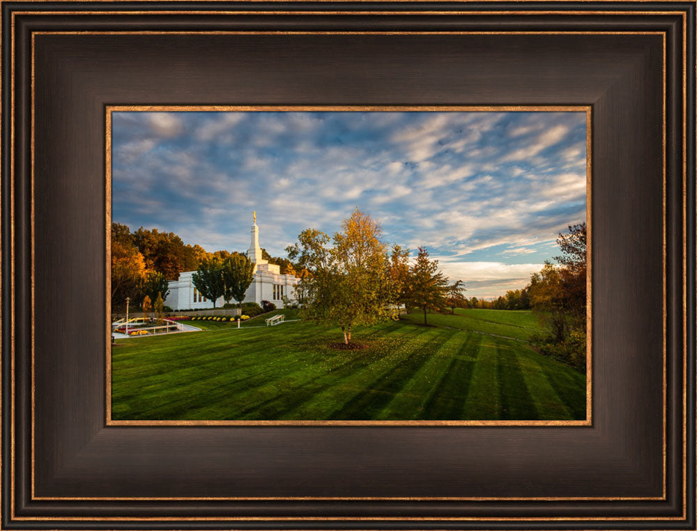 Palmyra Temple - From on High - framed giclee canvas