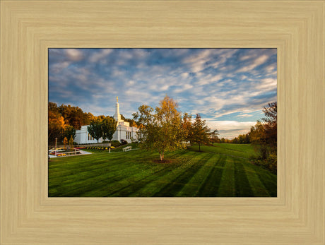 Palmyra Temple - From on High - framed giclee canvas