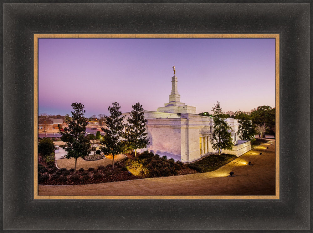 Birmingham Temple - Back Hill View by Scott Jarvie