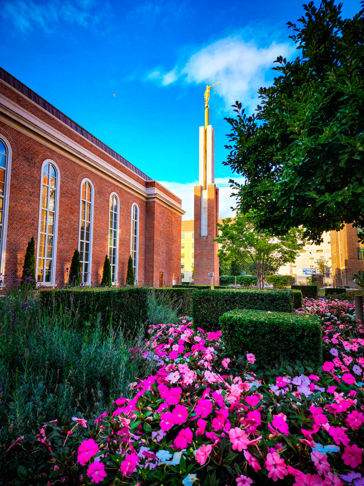 The Copenhagen Denmark Temple with pink flowers.