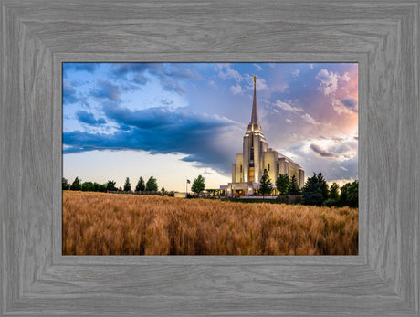 Rexburg Temple - Field Sunset by Scott Jarvie