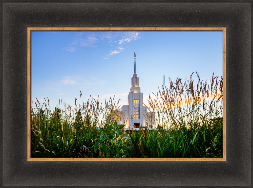 Twin Falls Temple - Harvest by Scott Jarvie