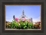 Draper Temple - Tulips by Scott Jarvie