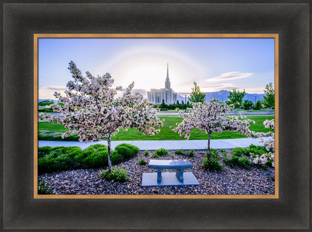 Oquirrh Mountain Temple - Flower Trees and Sun by Scott Jarvie