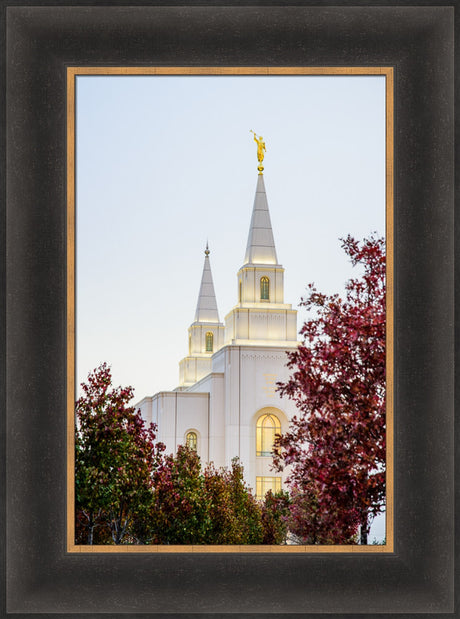 Kansas City Temple - Spires by Scott Jarvie