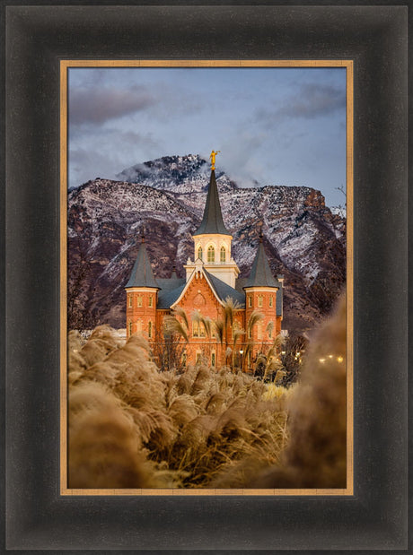 Provo City Center Temple - Fall Reeds by Scott Jarvie