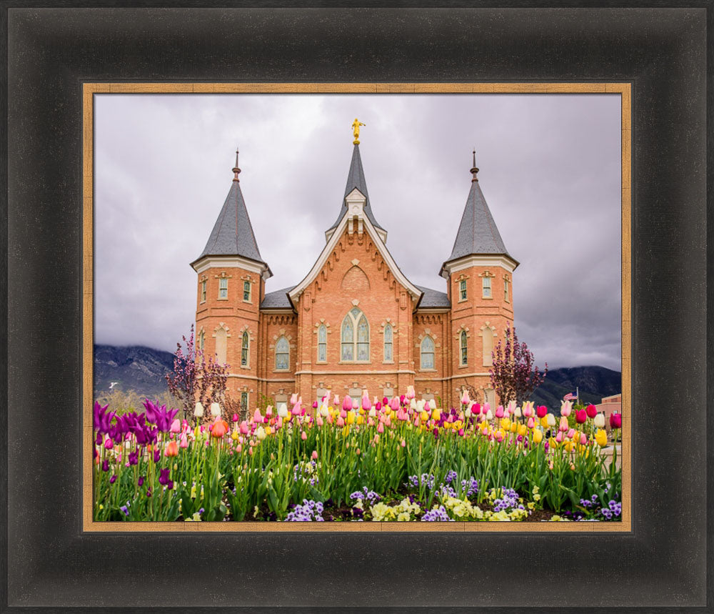 Provo City Center Temple - Springtime Tulips by Scott Jarvie