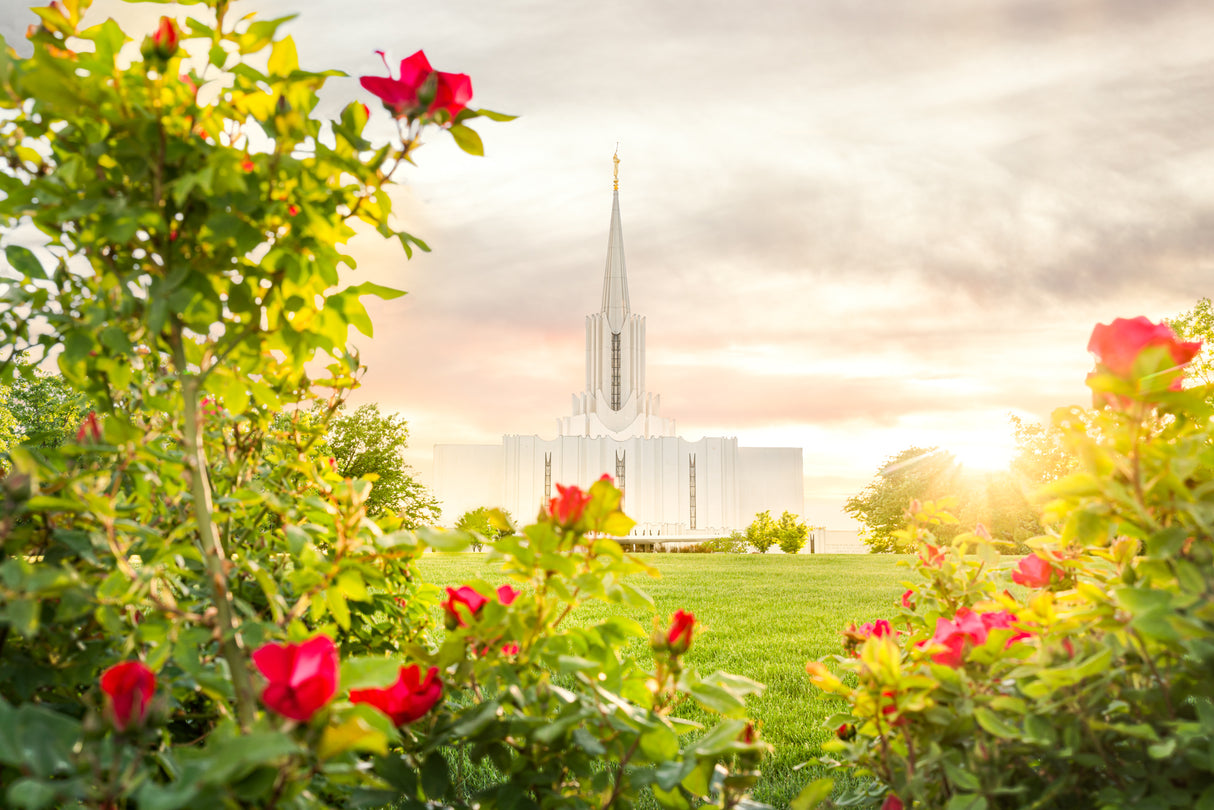 Jordan River Utah Temple - Roses by Evan Lurker