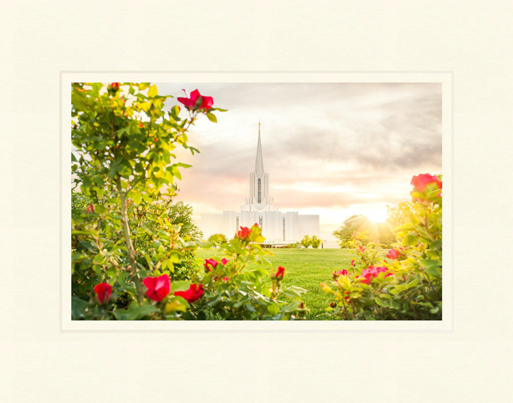 Jordan River Utah Temple - Roses by Evan Lurker