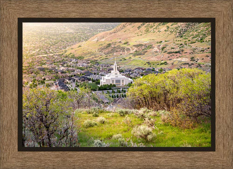 Draper Utah Temple - Irradiated by Evan Lurker