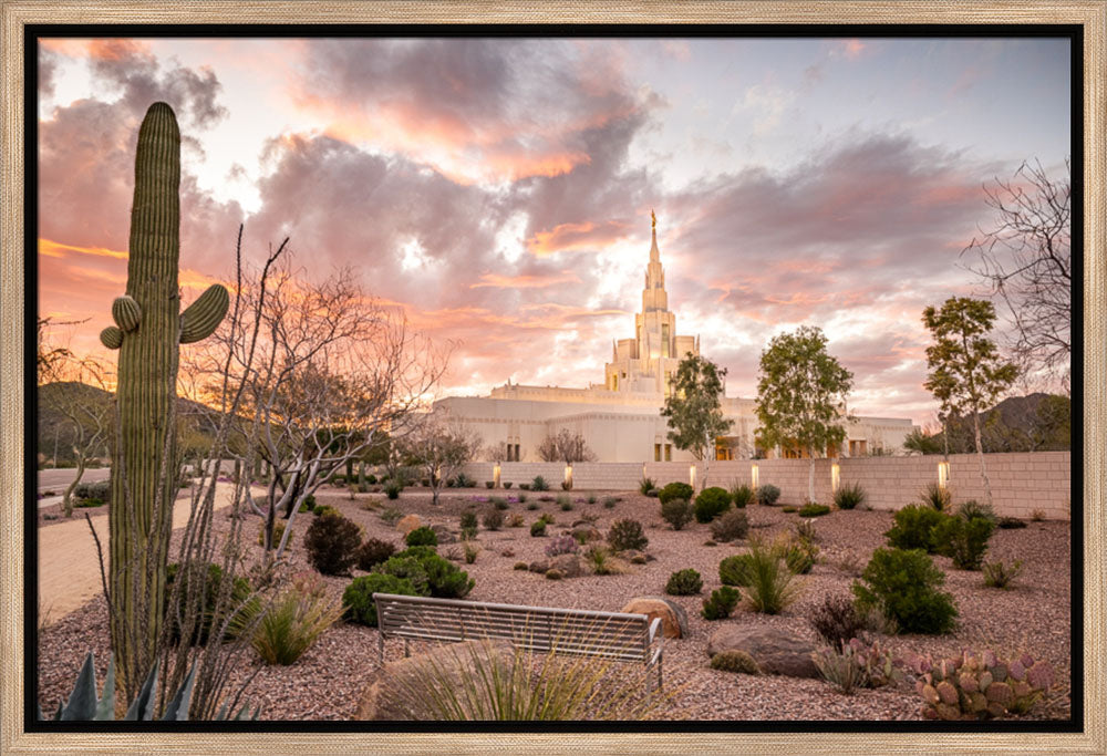 Phoenix Arizona Temple - Ponder by Evan Lurker