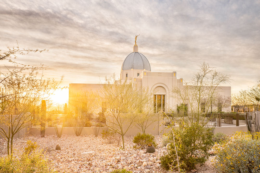 Tucson Arizona Temple - Endless Light by Evan Lurker