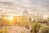 Tucson Arizona Temple - Endless Light by Evan Lurker