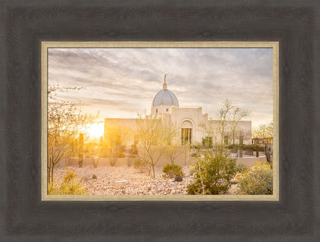 Tucson Arizona Temple - Endless Light by Evan Lurker