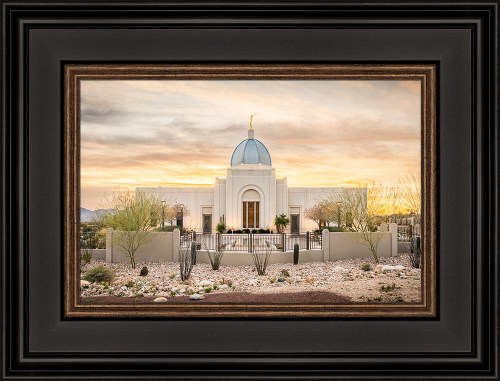 Tucson Temple - Desert Beauty by Evan Lurker