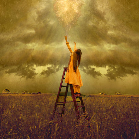 LDS art image of a girls standing on a ladder in a field, reaching up toward Heaven. Light and shines down on her.