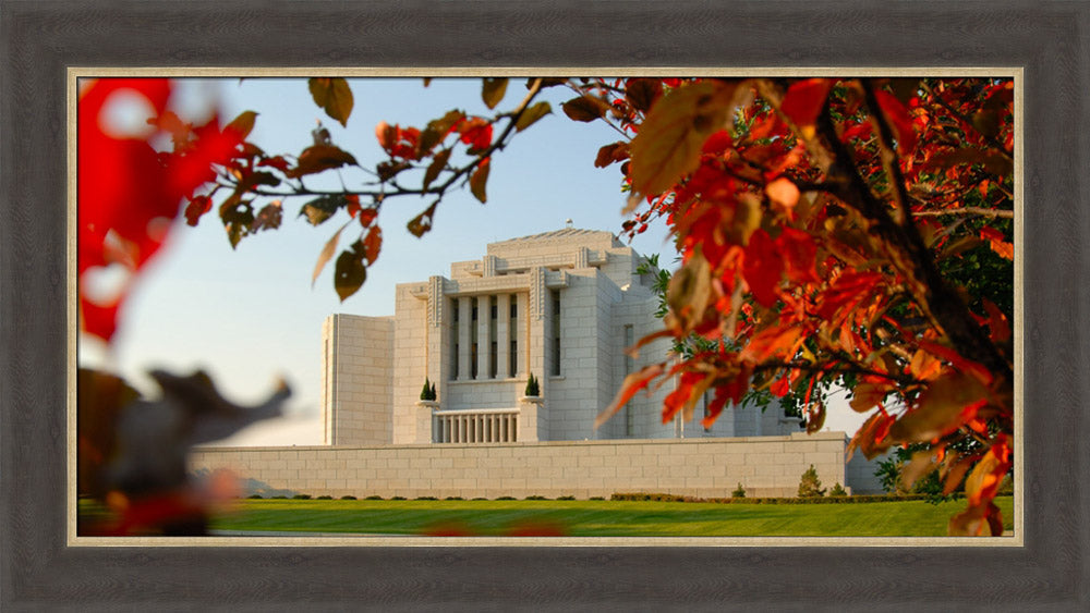 Cardston Temple - Fall Leaves by Hank deLespinasse