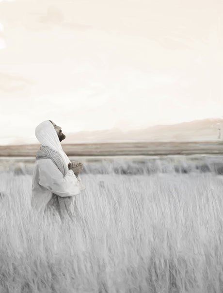 Jesus kneeling in prayer in a field and looking up toward Heaven.